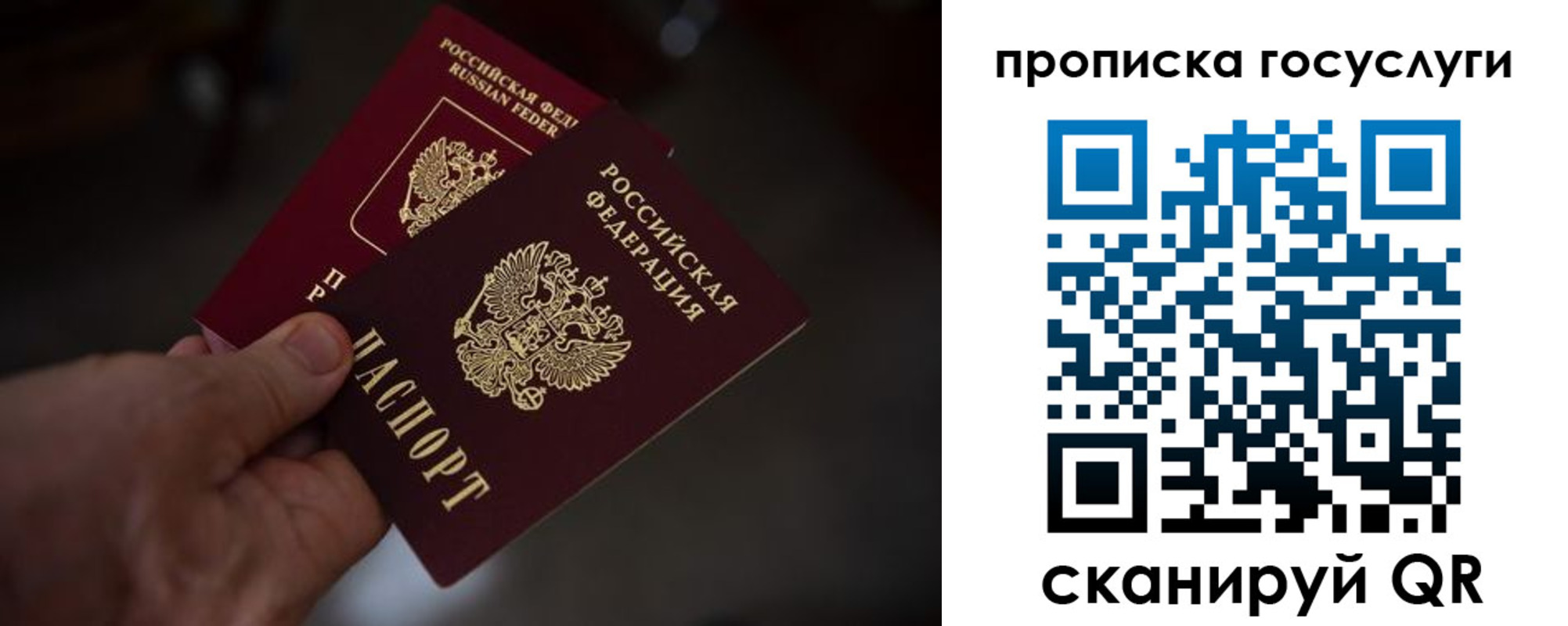 прописка ребенка в Каменке